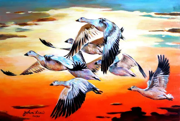 Dance at sunset
